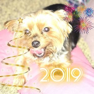 Meet your Posher, Kellie